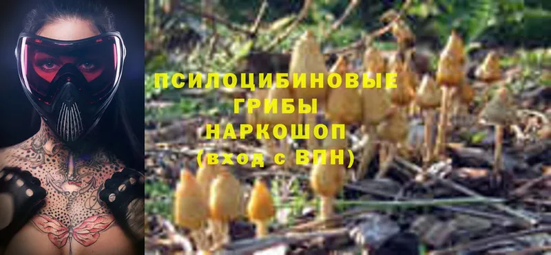 Галлюциногенные грибы GOLDEN TEACHER  Тобольск 